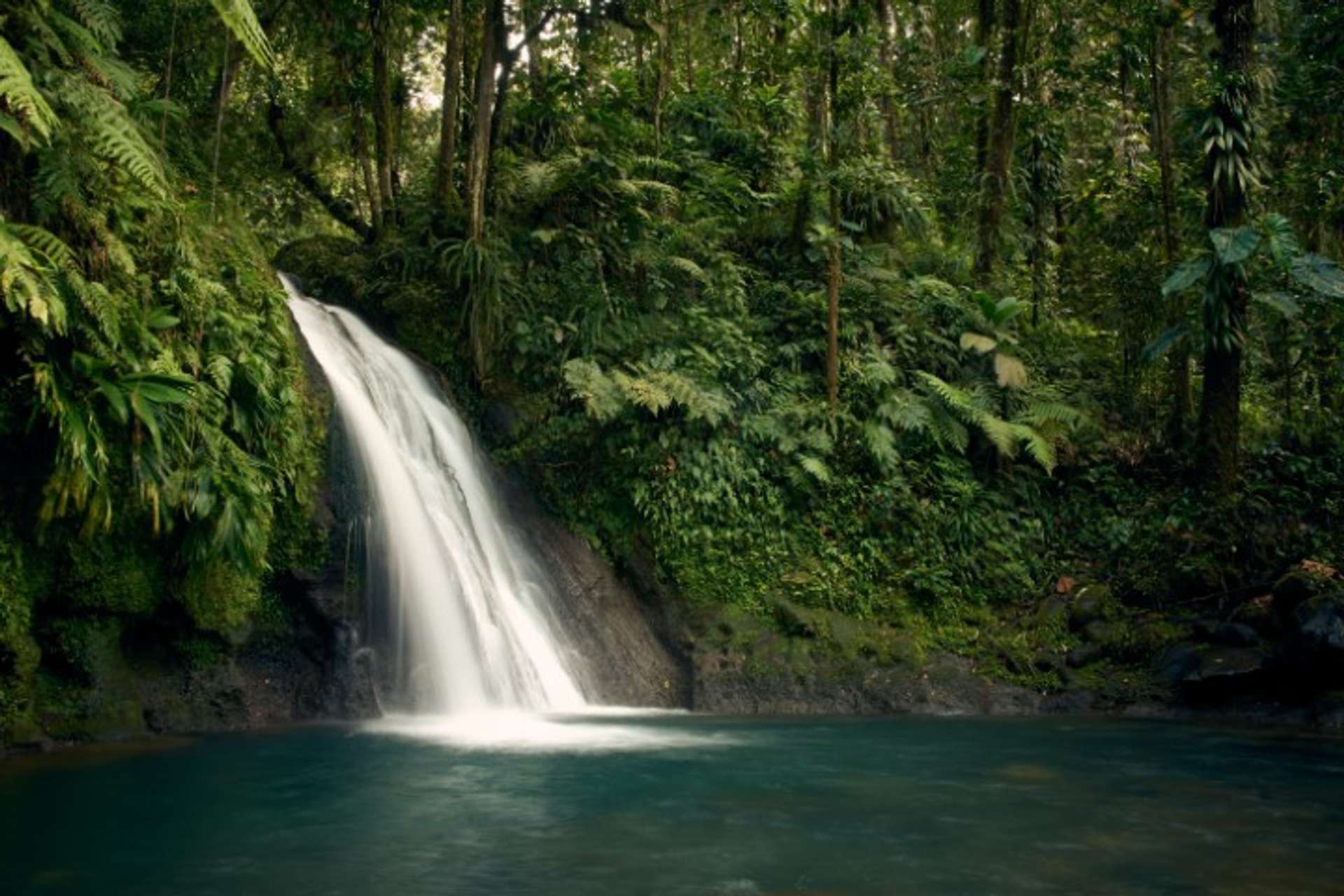 Camp Osa Peninsula