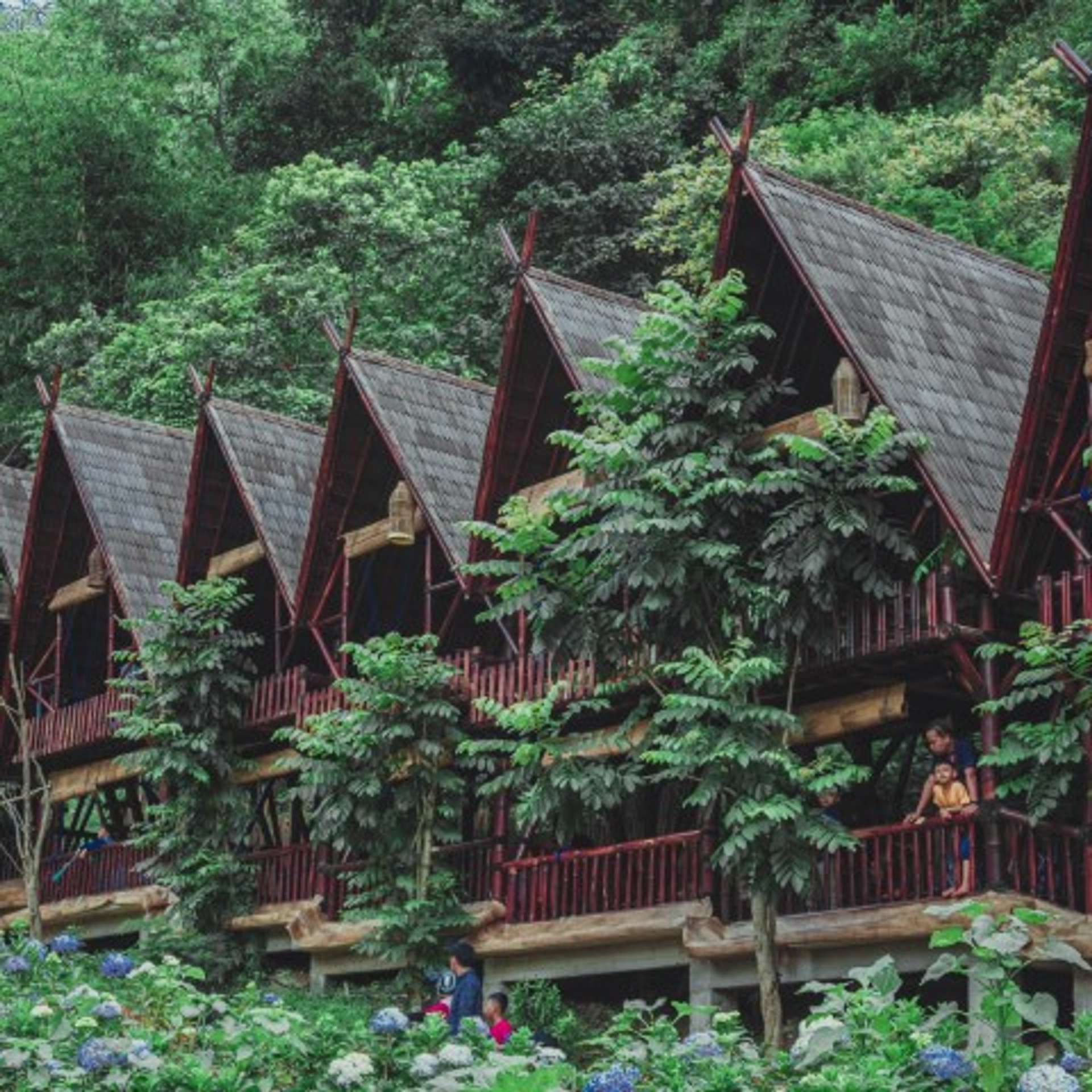 Lodge Chiang Mai