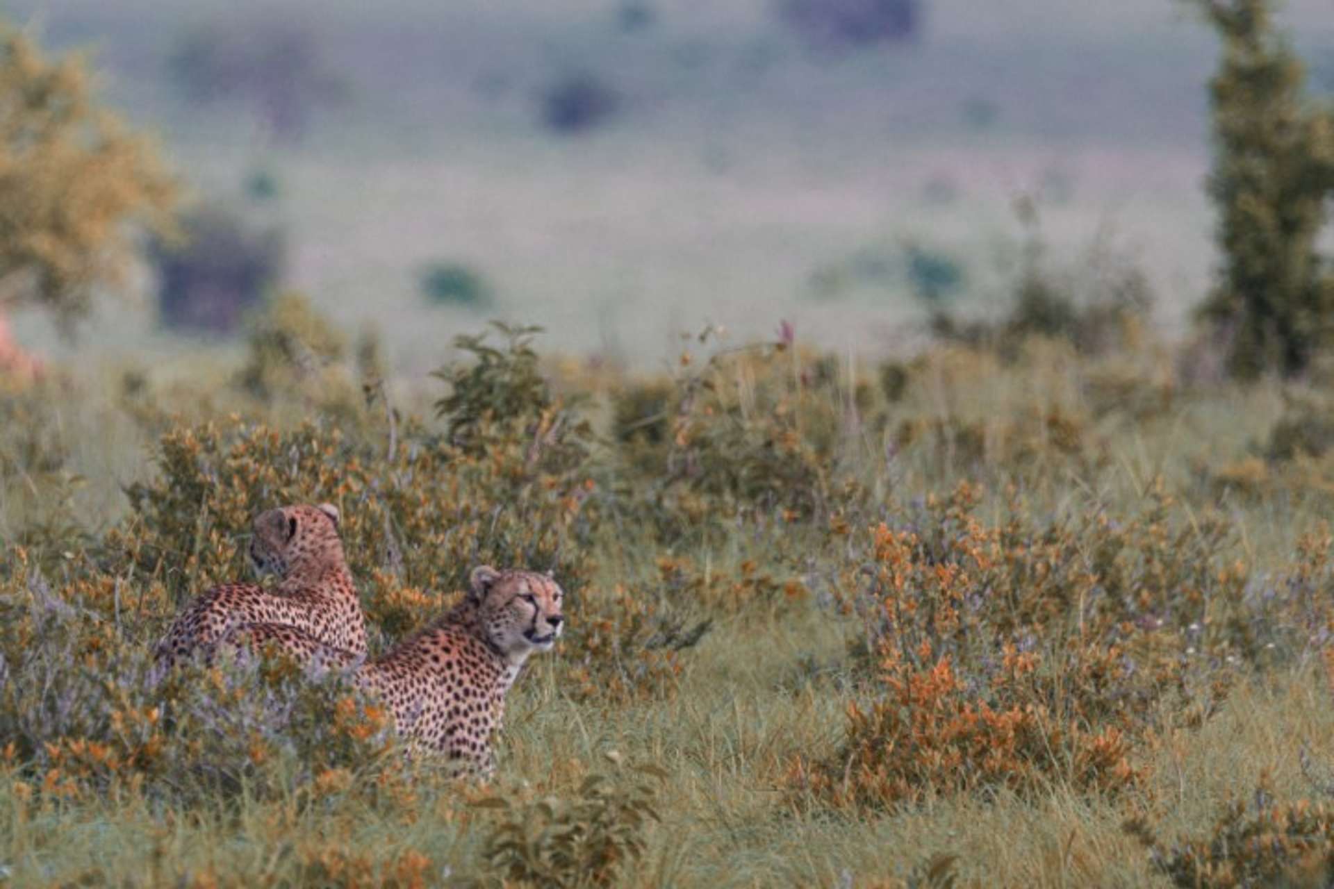 Ranch Madikew Game Reserve